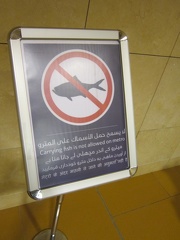 Advice to Metro Travellers - No Fish on the Train